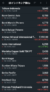 イーストS･インドネシア株式オープン【8331109B】 今日は基準価額下げましたね。 でも明日は期待して良いのでは？