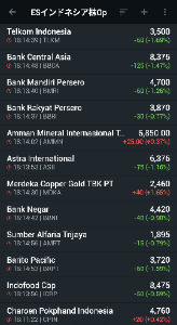 イーストS･インドネシア株式オープン【8331109B】 今日はあかん感じですね。