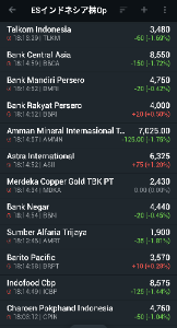 イーストS･インドネシア株式オープン【8331109B】 終盤失速しました。 それでも上げてると思いますが。