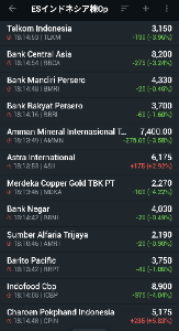 イーストS･インドネシア株式オープン【8331109B】 今日はだめでした。 反動安？にしても結構下落しましたね。