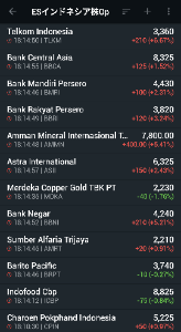 イーストS･インドネシア株式オープン【8331109B】 上がったり下がったり忙しいですが、明日は8月高値を超えてくれるんではないでしょうか?