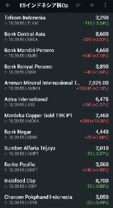 イーストS･インドネシア株式オープン【8331109B】 しかし上下動激しいな。 市場としてどうなの？