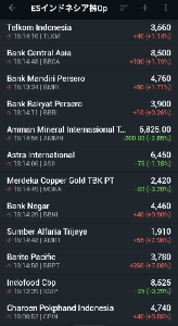 イーストS･インドネシア株式オープン【8331109B】 昼までは調子良かったのですが、、、 下げましたね。