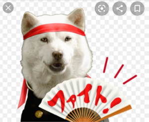オリックス(株)【8591】  >ほぼほぼ確定かな。今期楽しみ！   「💮王」に続け!! 配当貴族オリックス💕 　　　from ORIちゃん励まし隊👮
