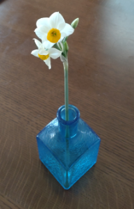 (株)サカタのタネ【1377】 謹賀新年 庭の和水仙、 今年も正月に咲きました🤗 我が家の縁起物なので、今年で3年目のお裾分け投稿します🤗 この和水仙が終わる頃、優待の西洋水仙が昨年は咲きました🧐 ここの株価も5月の権利までは楽しみが続きそうですね🤗