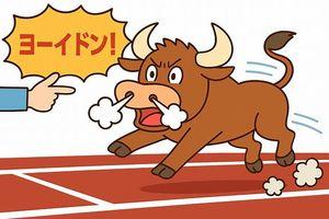 クラシル(株)【299A】 売り禁だから、こんなもんだけど　売り残あったらぶっ飛んでるねｗ