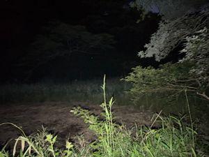 カイエ  cahier 夜にはもう蛍がちらほらしていますが､写メではちょっと🤏ね