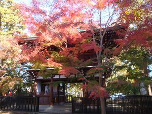 髭団（ローソク足の髭を愛する団体） 11/24の東漸寺（千葉県松戸市）
