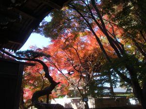 髭団（ローソク足の髭を愛する団体） 11/24の東漸寺（千葉県松戸市）