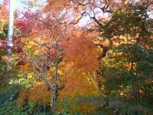 髭団（ローソク足の髭を愛する団体） 。