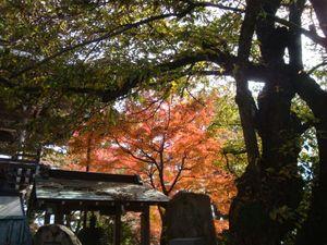 髭団（ローソク足の髭を愛する団体） 。