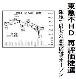 東急不動産ホールディングス(株)【3289】 【　10年前（2016年)　】 ～ 2016  ー。