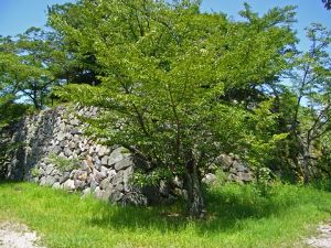 ウインテスト(株)【6721】 そろそろかもよ。