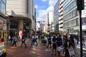 ウインテスト(株)【6721】 レッドみたいになってしまうの？