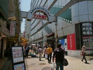 ウインテスト(株)【6721】 明日も楽しみだわ。