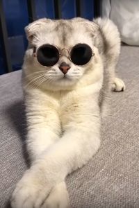 ウインテスト(株)【6721】 マジ話！ 米中閣僚級協議で決裂報道が出た場合の外資がどうでるか予想すると怖い！ 無風かもしれないが、仕掛けてくる可能性も十分にある！  完璧なタイミングで理想の良ＩＲをだしてなお急落！ 最低でも、400以上は確実だと思えた！ Ｓ高からの強引でありえない下落！　 翌日の高値更新からの急落！ その後、短期間での大幅下落！ 機関の売り増！ 連日の異常なオーバー！　一時、100万株のアンダーとの差がでてた！  他銘柄も含めて先週末に信用分は処分！ 資金確保！　＊余力半分 高騰してくれた方が嬉しいが、万が一暴落した場合は全力で追加予定！  明日は騰がると思うが、週末は要警戒かな！  無理しない程度で、気長に高値越えするのを待ちましょうｗｗ  以上！  携帯ショップに今から行きますｗｗ