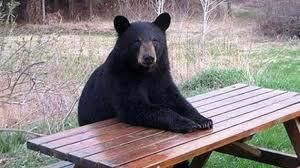 IRレポーター よろしくお願いします。