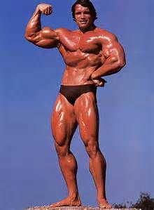 (株)ソフトフロントホールディングス【2321】 じっちゃんは俺が守るぜよwwwwwwww