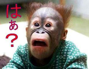 (株)ソフトフロントホールディングス【2321】 お前は一生儲からないよ