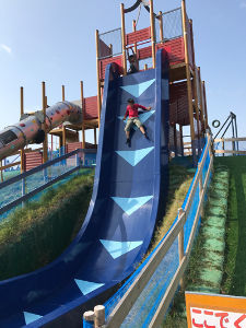 (株)ソフトフロントホールディングス【2321】 ヤッホーw