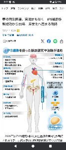 ブライトパス・バイオ(株)【4594】 参詣