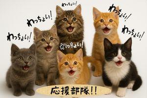 [裏トロ] (186A) アストロスケール・スピンオフ! !