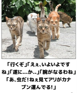 (株)イノベーションホールディングス【3484】 1100円はたぶん無理 しかし1080円くらいはいくだろうよ よって買いで正解⭕️