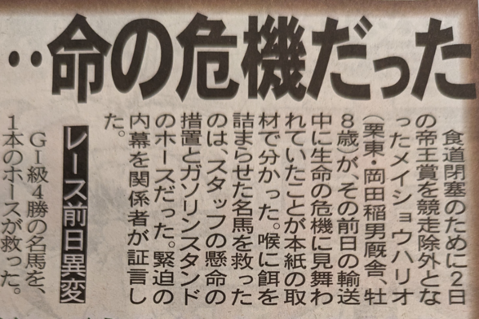 東京都競馬(株)【9672】 食道閉塞のために２日の帝王賞（大井）を競争除外となったメイショウハリオ（♂８）がその前日、生命の危機に見舞われていた。  馬運車で高速道路を輸送中にエサをのどに詰まらせて、 誤嚥性肺炎になりかねない緊急事態だったらしい。  現在は栗東市の自厩舎に戻り、治療を受けながら静養して回復に向かっているようだ。  年齢的に無理はさせないで欲しい！！