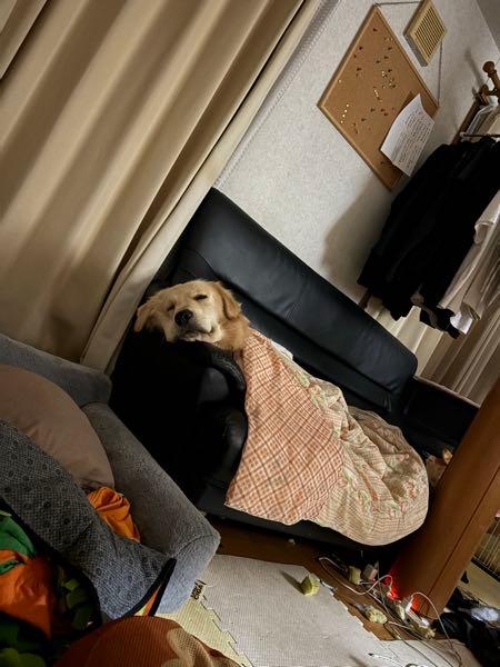 三菱ＨＣキャピタル(株)【8593】 です。