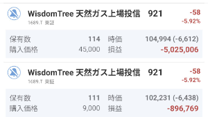 WisdomTree 天然ガス上場投信【1689】 ワイ氏の人生を微妙に狂わせた銘柄の一つ。 なんで冒険投資家を凍死するまで信じたのだろう。