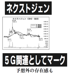 (株)ネクストジェン【3842】 【 10年前(2016年) 】 ~ 2016 ー。