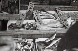 Umios(株)【1333】 昭和の魚屋 スルメイカ1尾300gで48円 今500円 10倍