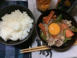 オンキヨー株主たちの闇スレpart3 今日は、、、暴落 自炊で牛丼（肉少なめ）  先物あがってるが　虎、、、怖いw