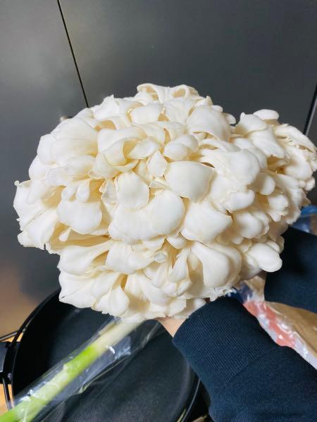 ユキグニファクトリー(株)【1375】 今年もお疲れ様でした😊 今日はすき焼き🍄