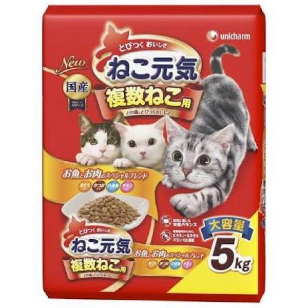 スナックVIN 株は安いところをテケトーに拾って騰がるまで待れば勝てるんや。ごゆっくり♪ ということで今日の昼営業ではペットへのお土産を🤗