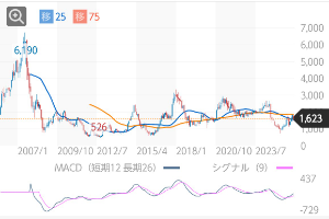 国際のETF VIX短期先物指数【1552】 こんなん買うよりリーマンショック後の何時でも普通に日経買ってれば勝手に儲かっただろうに バーチャル故に可能な銘柄だろう
