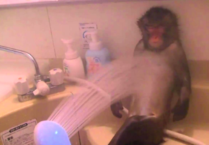 (株)VLCセキュリティ【2467】 ぐーすーぴー🙈