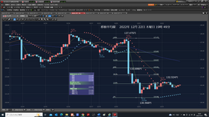TOPIXベア上場投信【1569】 ドル円ウソ上げだ。どうする。成り行きで投げろ。 ウソ上げだ。また、上で、指値ショートだ。 ④ RAバンク 269.5417 → 269.0927となる。4490円負けた。 1万ドル成り行き132.041円で、投げた。2022/12/22 木曜日 19:46 トレードで、3650円負けて、SW672円負けた。 1万ドル 133.210円で、ショート注文、売りなおしだ。 2022年12月22日 木曜日 20時05分 今日は、10時35分からYMCAで、1000m泳いだ。 続けることだ。体は、かなりリカバリーしている。