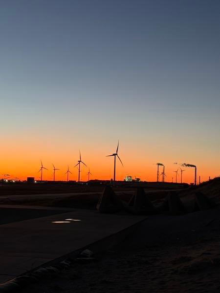 unbanked(株)【8746】 今日は鹿島の墓下です🗽