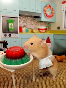 石山Gateway Holdings(株)【7708】 ダレか おいらを呼んだか? 「貴方ぁ〜お食事の用意が出来ましたぁー」