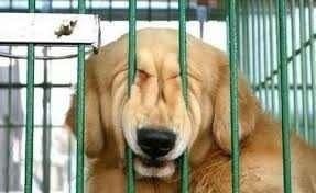 石山Gateway Holdings(株)【7708】 右山が逮捕⁉️ 小菅拘置所ですか⁉️ 多摩川の水でも(^◇^)汲んで 面会に行こうかな(^◇^)笑笑笑笑笑笑笑笑笑笑笑笑笑笑