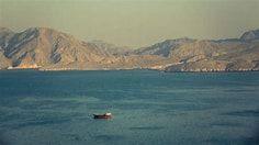 アンジェス(株)【4563】 ありがとうございます！  これからも、ホルムズ海峡が、今と変わらない平和の海であってほしいです。