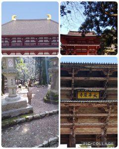 誉れ武門の名にかけて&hellip;！ 人を避けるように切り取りすると、 良い写真になりませんね💦