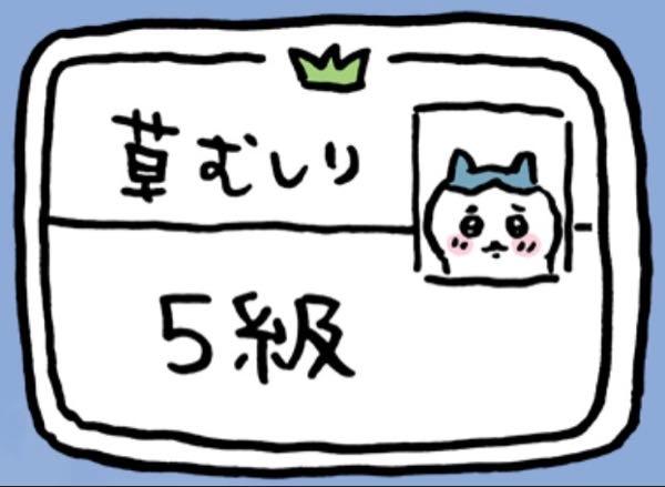 かっこ(株)【4166】 .