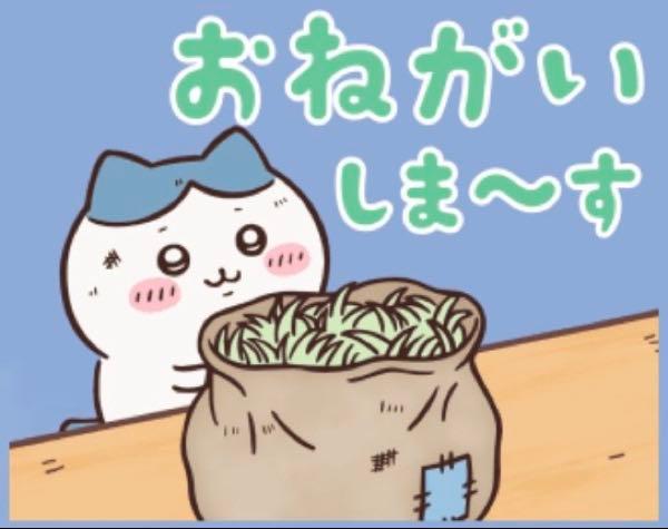 かっこ(株)【4166】 .