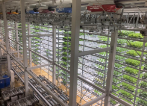 エスペック(株)【6859】 で、エスペックミックの最先端ノウハウががっつり注入された植物工場が福島県にある。 A-PLUSという植物工場で、政府とか色々な人が見学に来てる。セブンイレブンにレタスをおろしてる生産者。 A-Plusとエスペックミックの共同開発により、播種(種まき)から移植(植え替え)、収穫までの栽培工程の自動化を実現し、光や温湿度、二酸化炭素濃度、培養液など植物の育成に必要な環境を制御する栽培設備一式を手がけました。 https://www.espec.co.jp/news/products/2021/detail210330.html