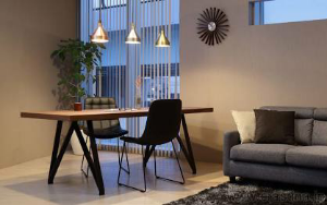 終の棲家(北欧風の家) コンセプト