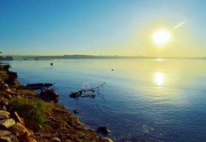 エジプトはナイルの賜物 ビクトリア湖
