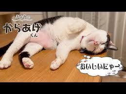 ＲＥＩＴで配当年金を増やしたいにゃあ、笑い。 こらなんぼでも上がるわぁ～ Wahahaha～