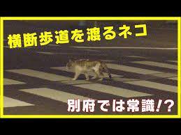 ＲＥＩＴで配当年金を増やしたいにゃあ、笑い。 既死堕ァ・・・あ゛ぁぁぁあ！！！！